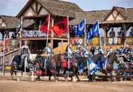 Arizona Renaissance Festival