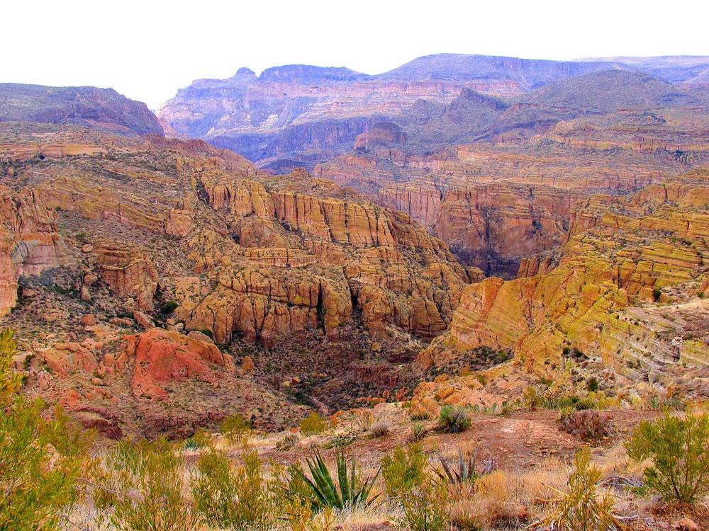 Tonto National Forest Closes Developed Recreation Sites Forestwide   S Top